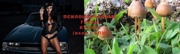 прущий лед Богородск