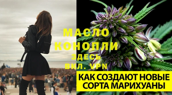 экстази Богданович